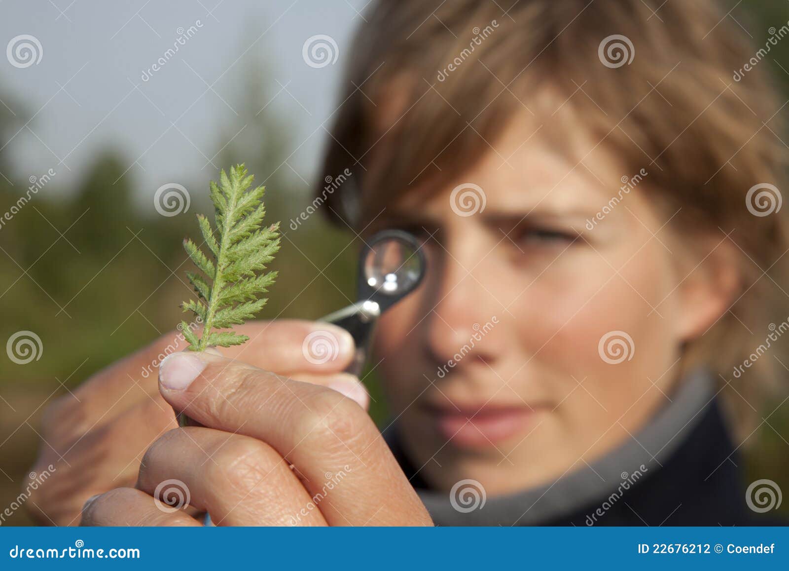 Ecologist Determined a Plant Stock Photo Image of magnifier