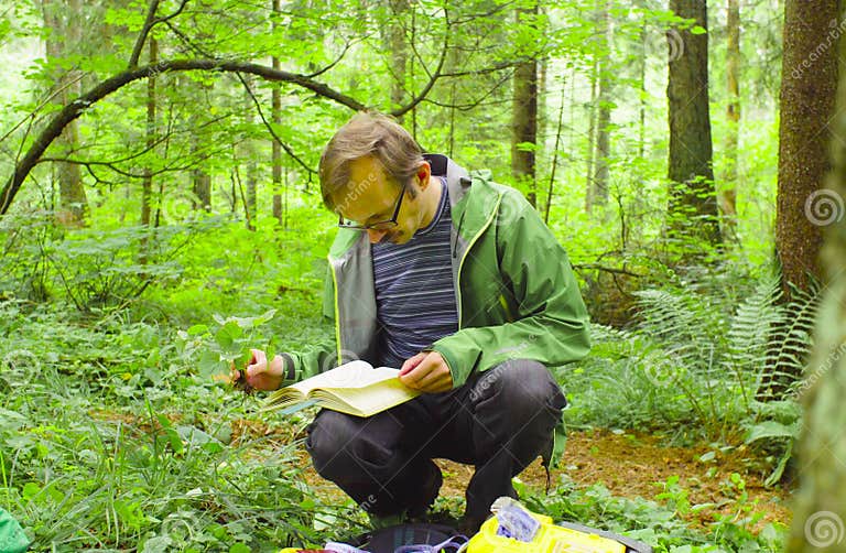 The Ecologist in a Forest Examining Plant Stock Photo Image of