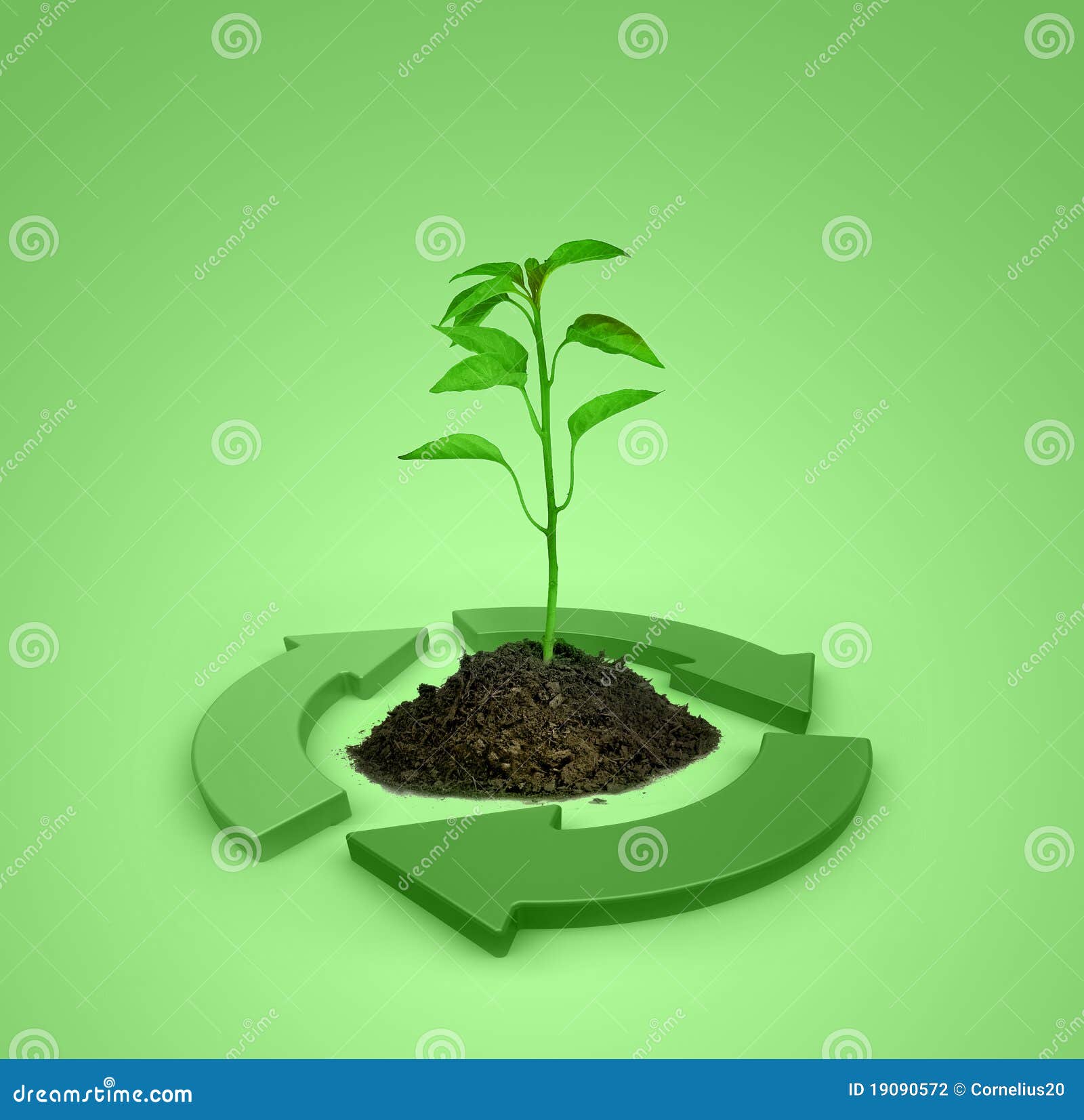 Ecology concept with a young plant and recycle symbol