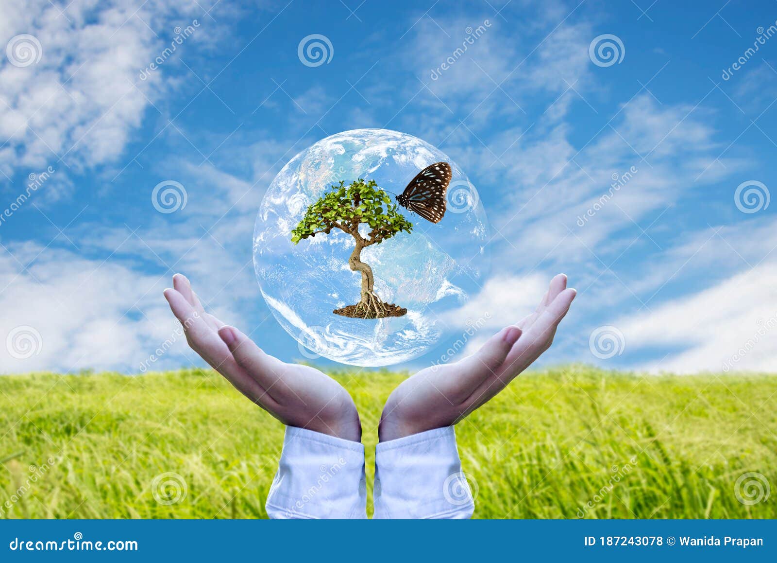 ecology and environment earth. planet and tree with butterfly in human hands over green and sky nature