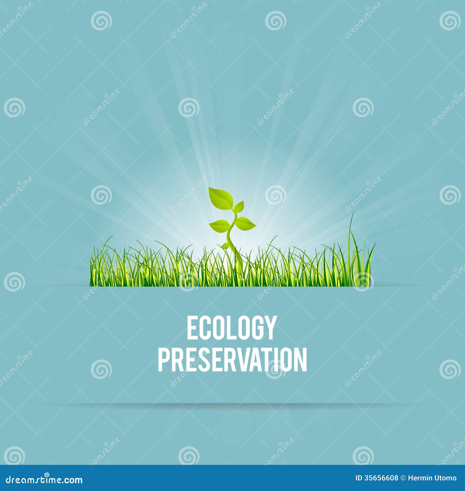 ecology preservation