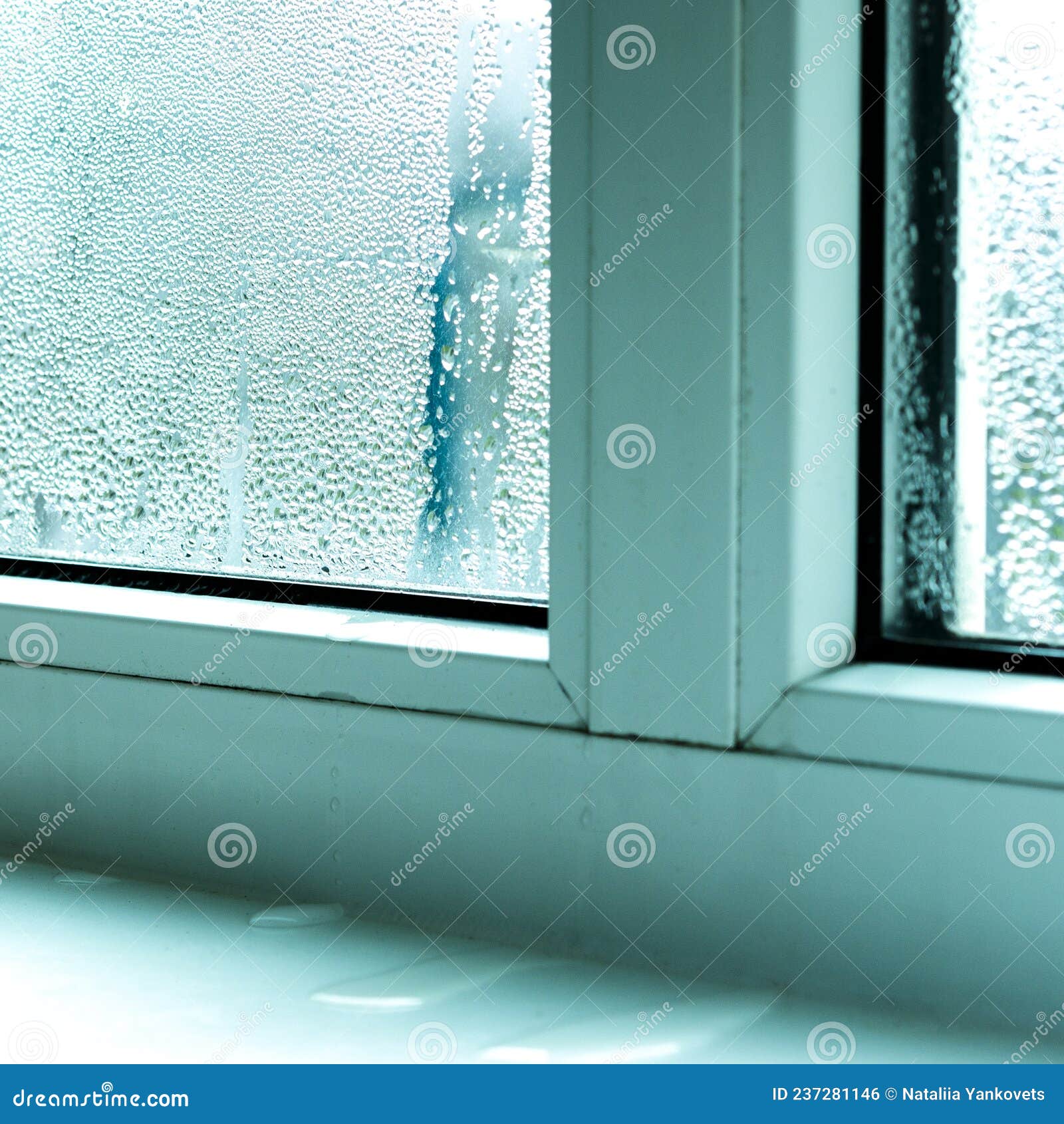 Ecology Problems. Condensation and Black Mold on White Plastic Windows