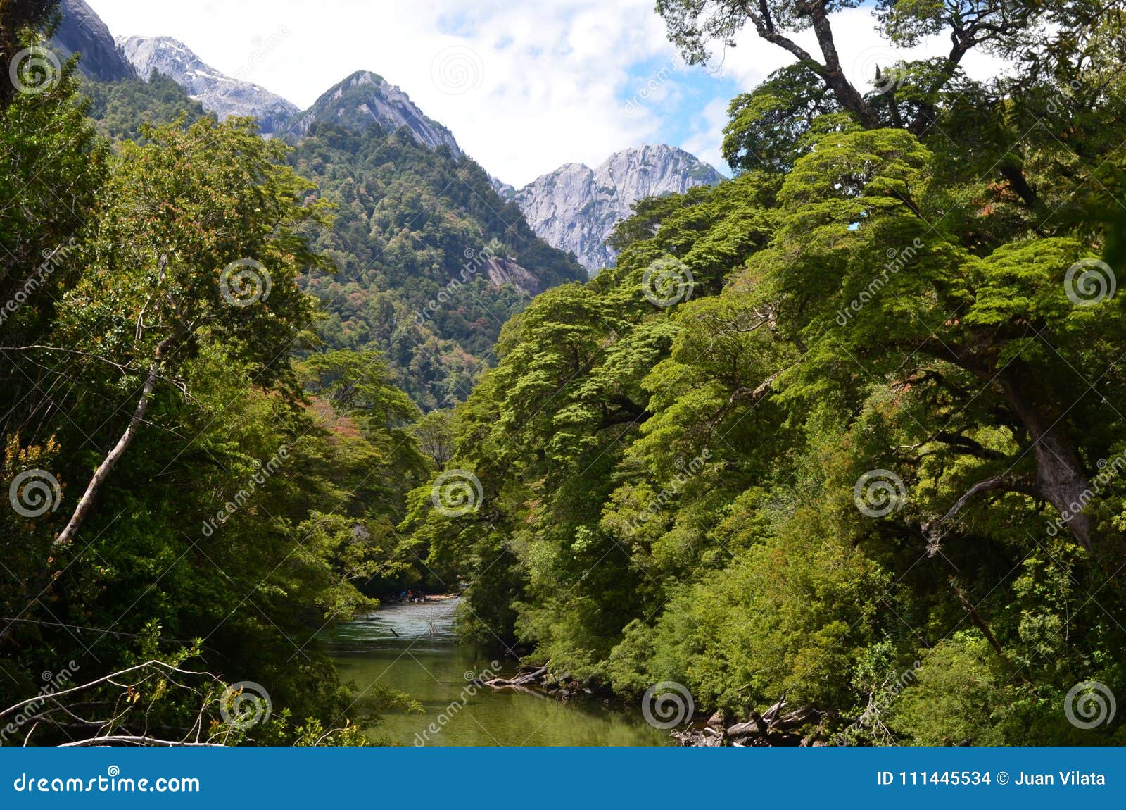 ecoregion of the valdivian temperate rainforests in southern chile chilean patagonia