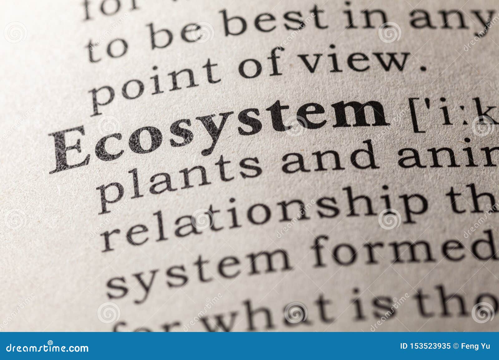 definition of the word ecosystem