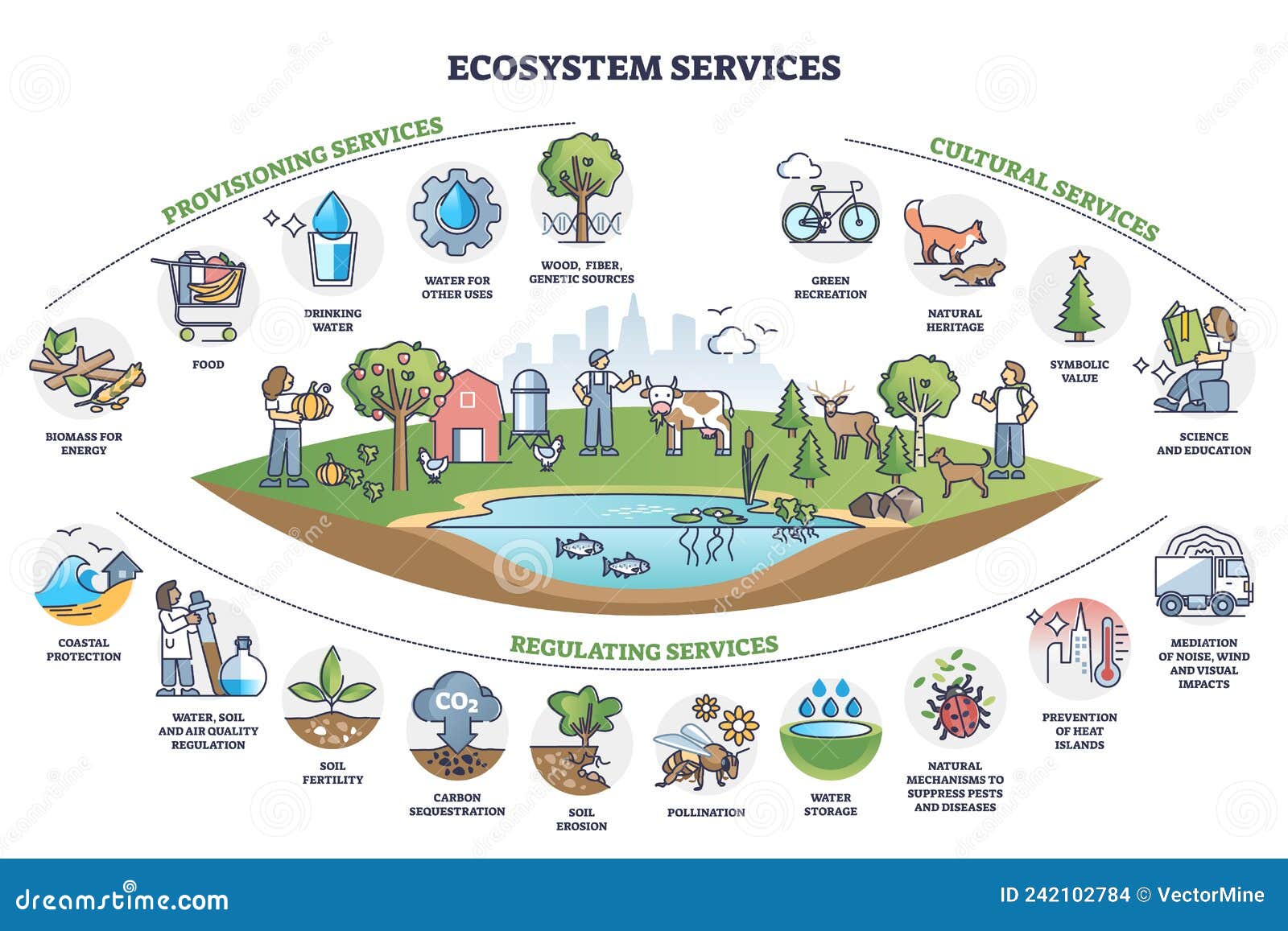 ecosystem services with subdivision categories collection outline diagram