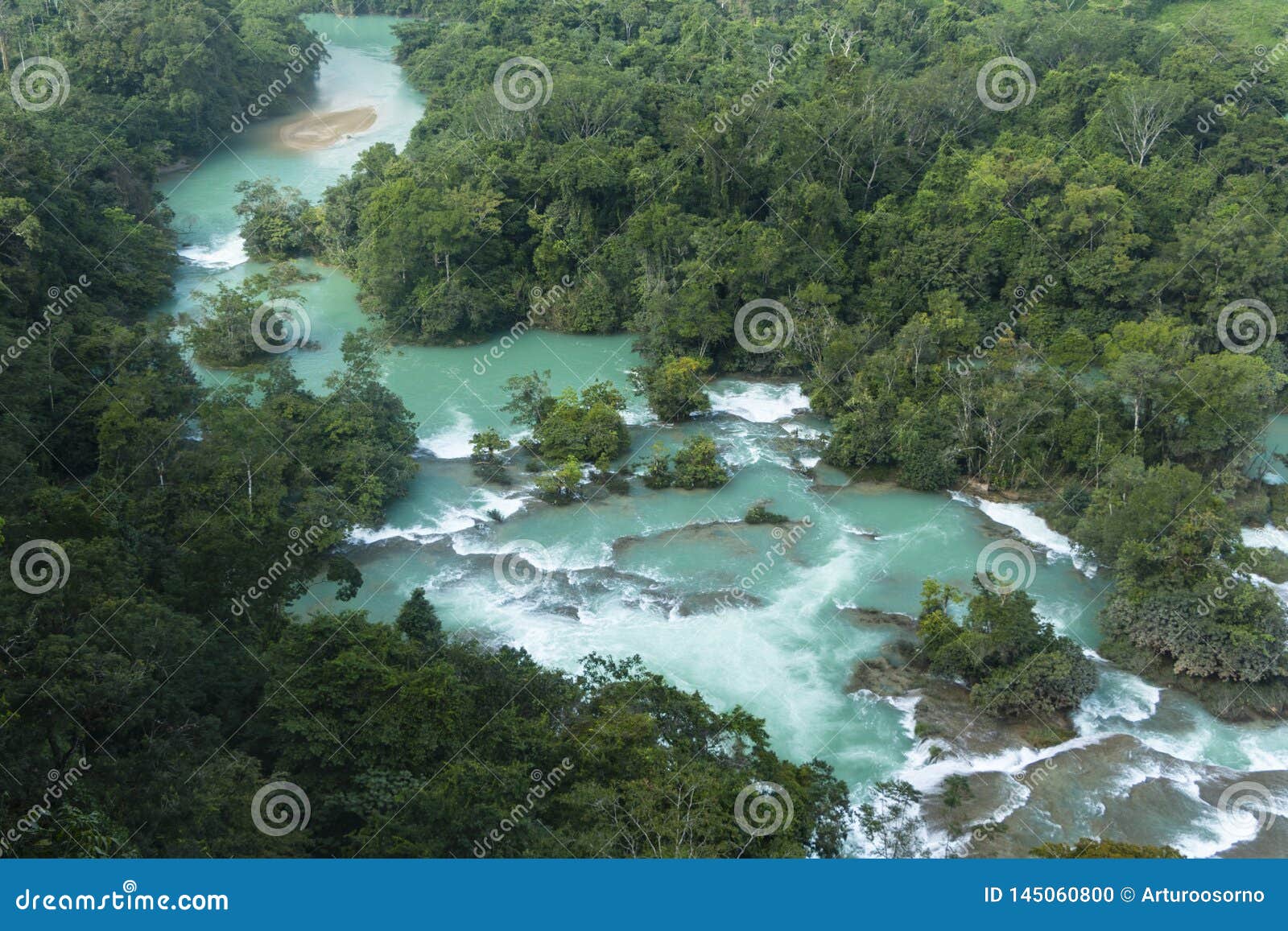 ecotourism reserve las nubes in the jungle of chiapas