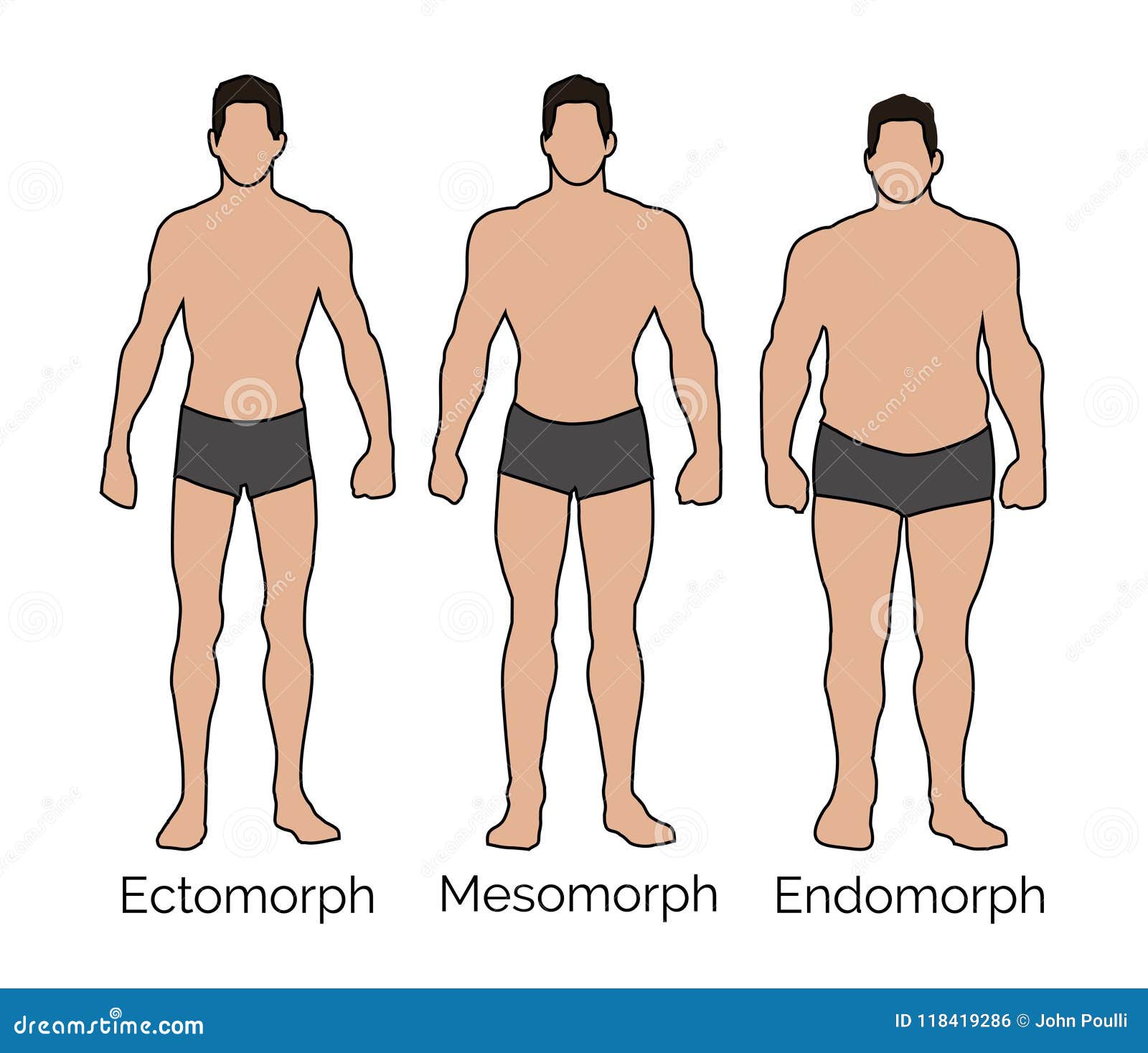 https://thumbs.dreamstime.com/z/ectomorph-mesomorph-endomorph-male-small-medium-large-body-frame-illustration-showing-difference-sizes-118419286.jpg