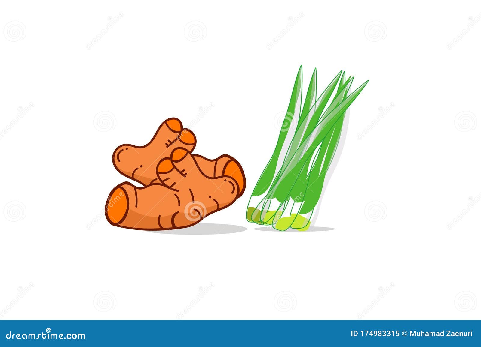 Vector Illustration of Red Ginger. Stock Vector - Illustration of