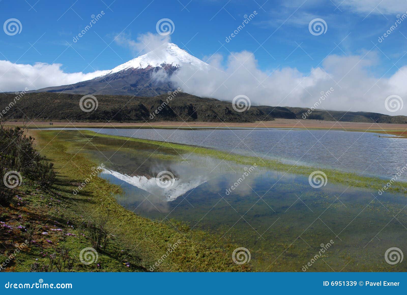 Ecuador 2008 - Cotopaxi-mirror Stock Image - Image of volcano, summer ...