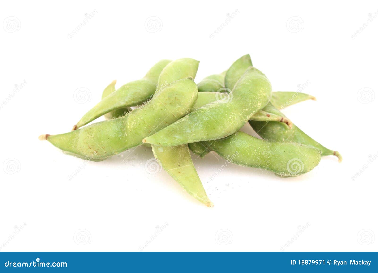 Edamame stock image. Image of green, bean, protein, uncooked 18879971
