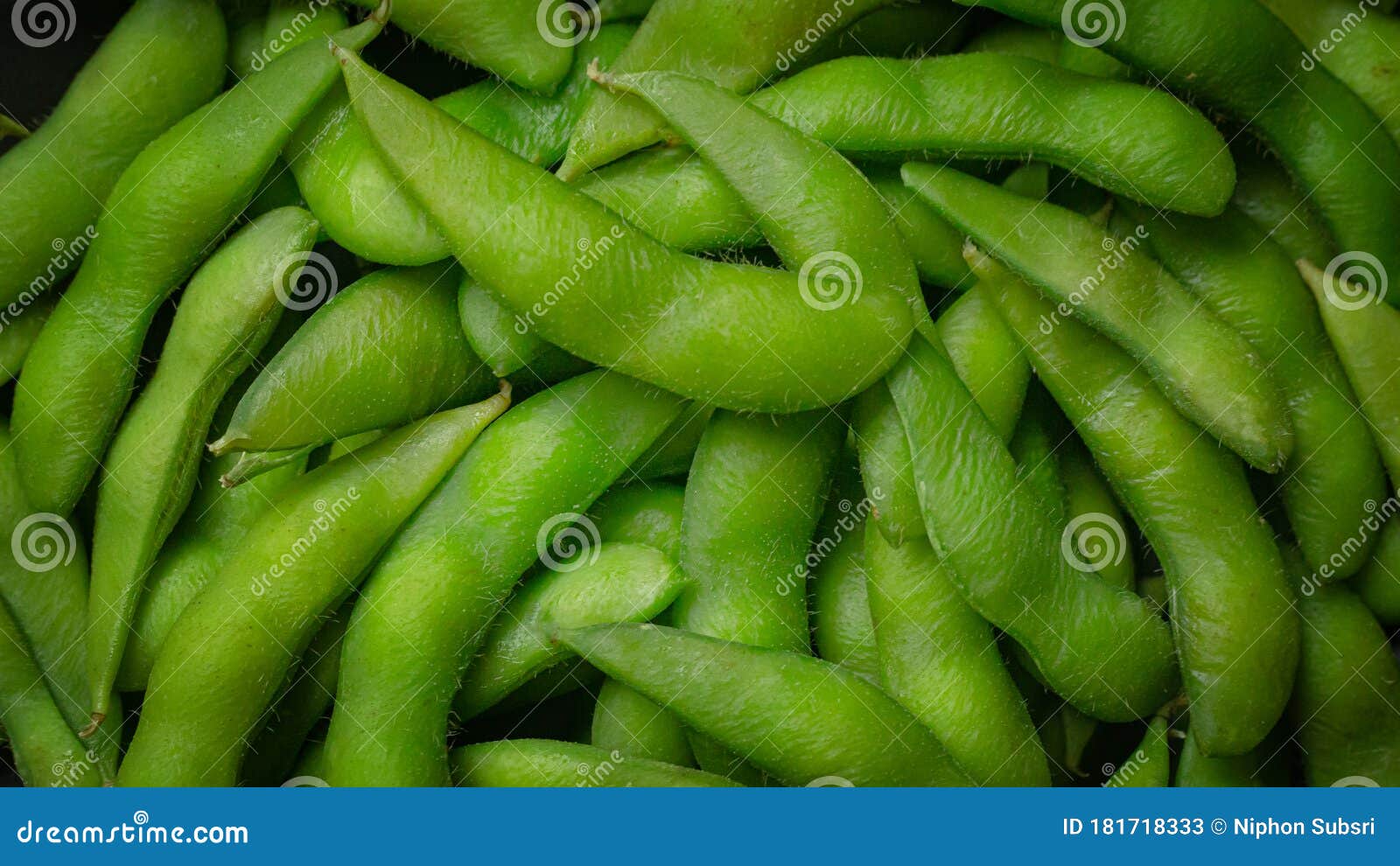Edamame in Black Plate Top View Image for Food Content Stock Image