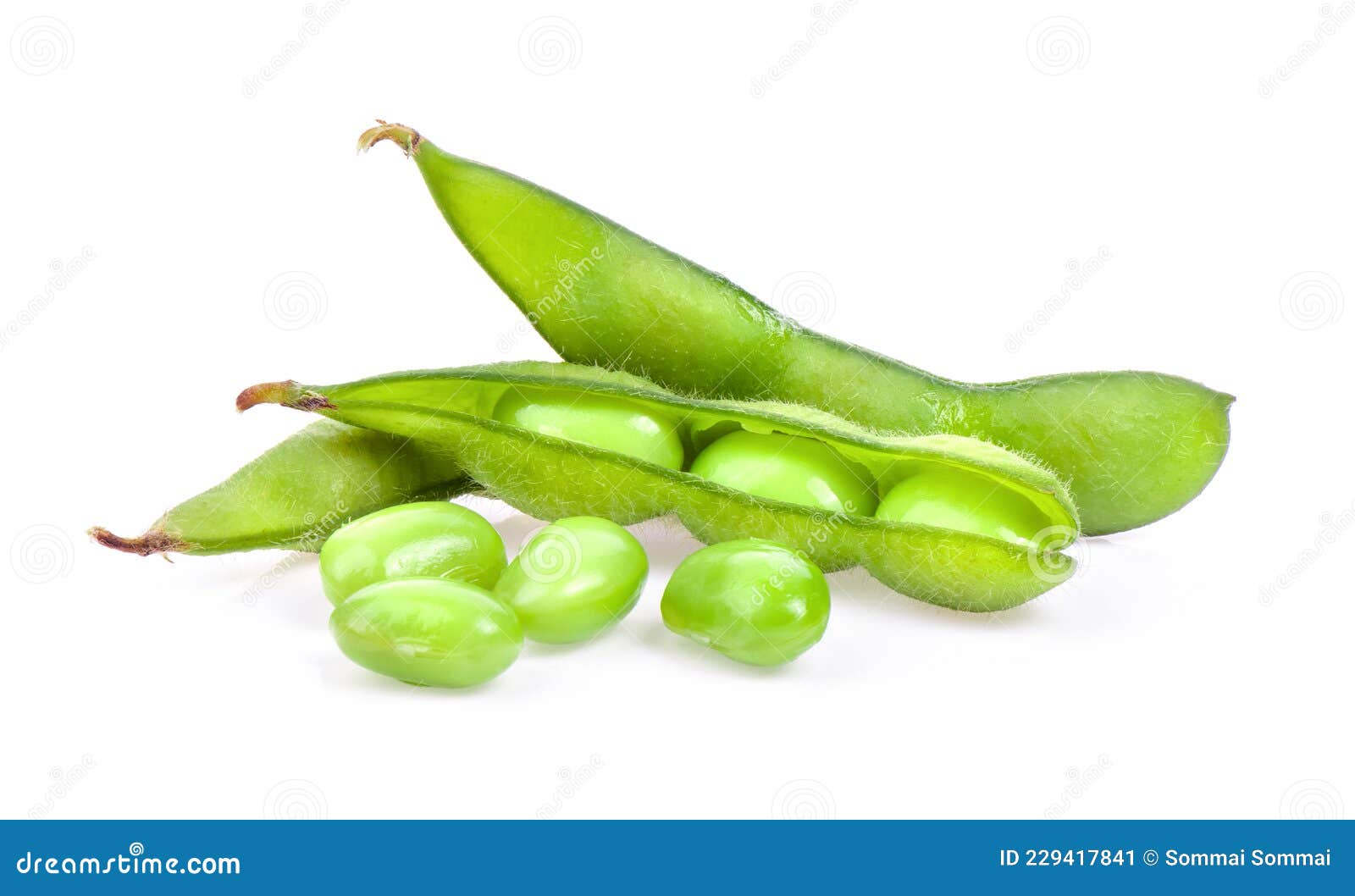 Edamame Green Beans Isolated on White Stock Image Image of fresh, asian 229417841