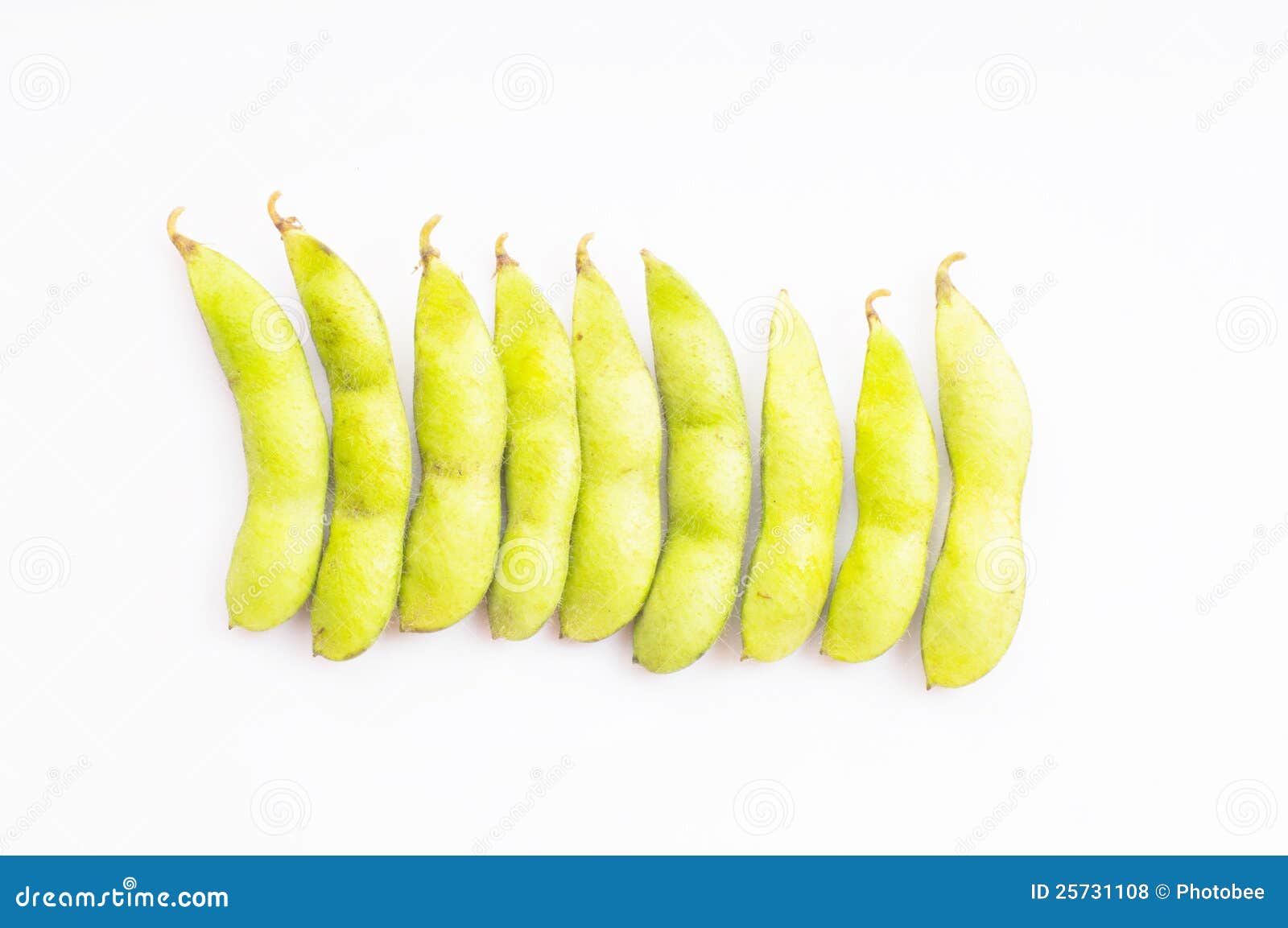 Edamame soy beans stock photo. Image of ethnic, legume - 25731108