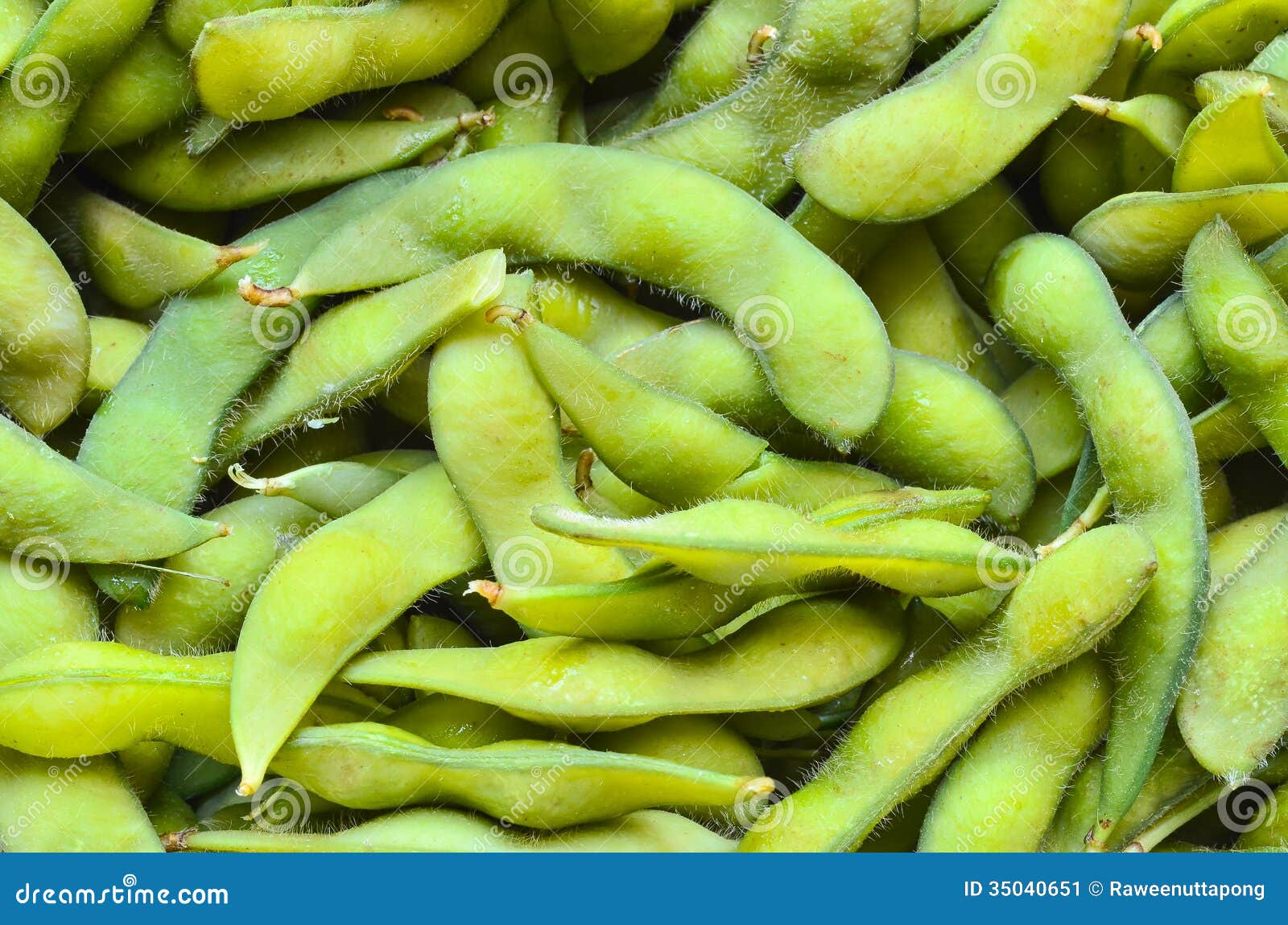 Edamame soy beans stock image. Image of nutritious, open 35040651