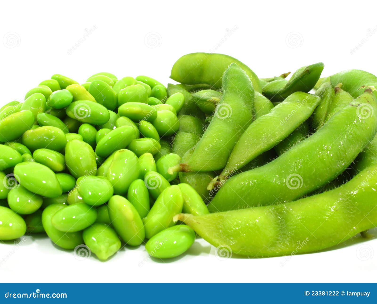 Edamame Soy Beans Shelled and Pods Stock Photo Image of cooked