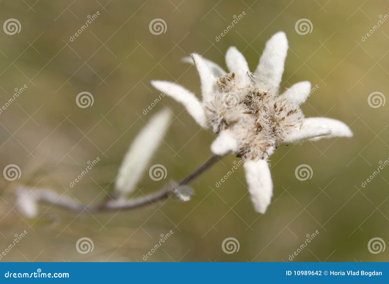 Entdecke das Edelweiss-Center, die größte Boulderhalle im Herzen von  Wien.#Alpenverein #Edelweiss #AlpenvereinEdelweiss #bewegt #deinverein  #Klettern #Bouldern #EdelweissCenter ..., image size:1600x1169