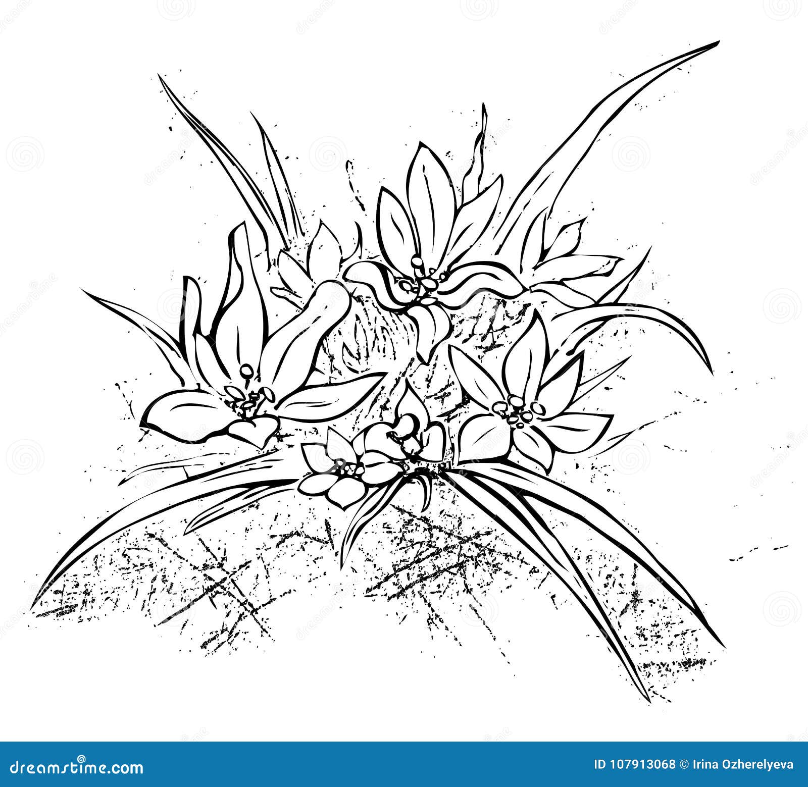 Featured image of post Edelweiss Flower Botanical Drawing Flower art painting art drawings flower art drawing watercolor flowers paintings drawings flower drawing tutorials flower drawing flower prominent illustrator kate kyehyun park is known not only for her beautiful botanical drawings but also for her desire to help others achieve the same