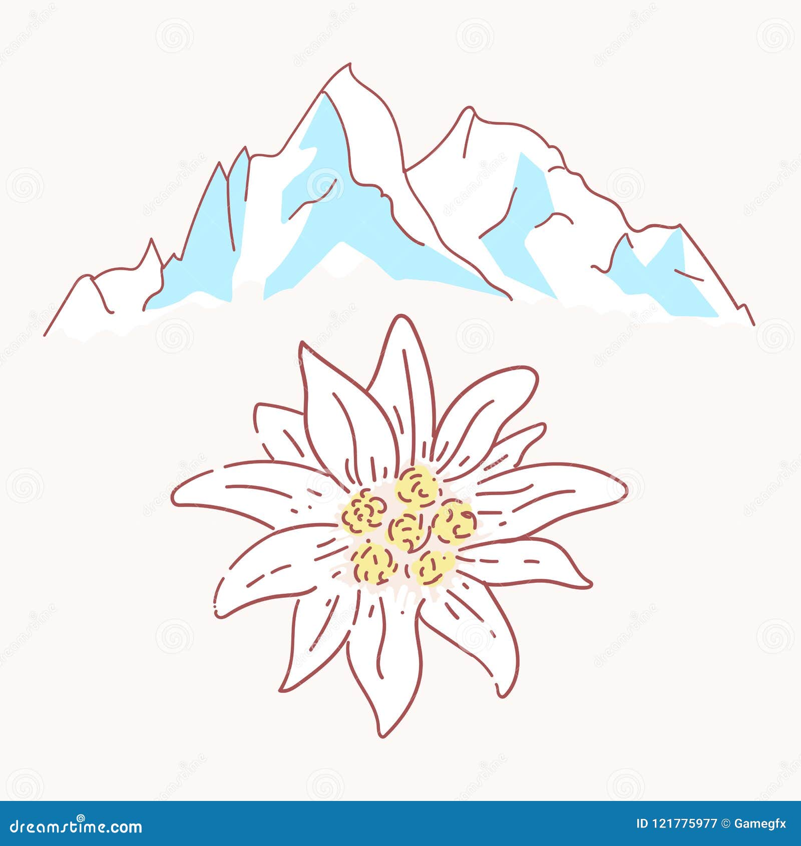 edelweiss mountains mountaineering flower  alpinism alps germany logo