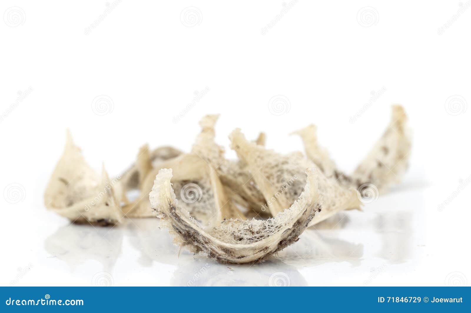 Edible bird nest stock image. Image of healthy, edible 71846729