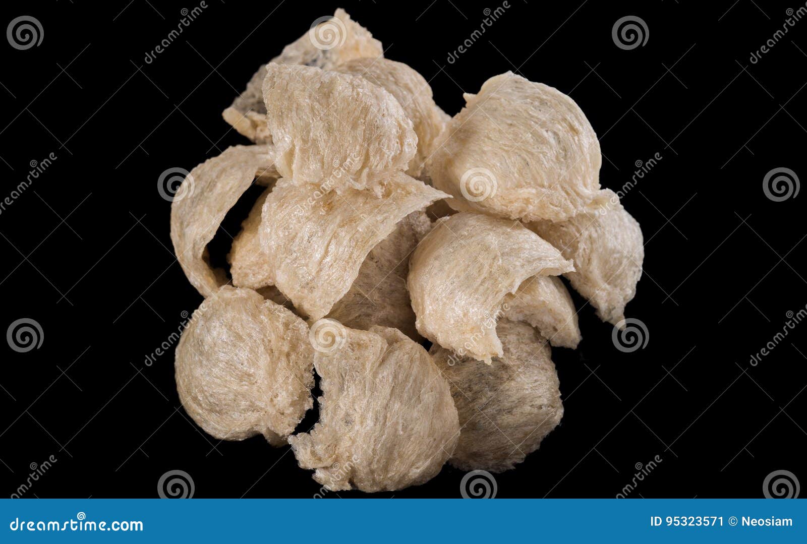 Edible bird`s nests stock image. Image of asia, created 95323571