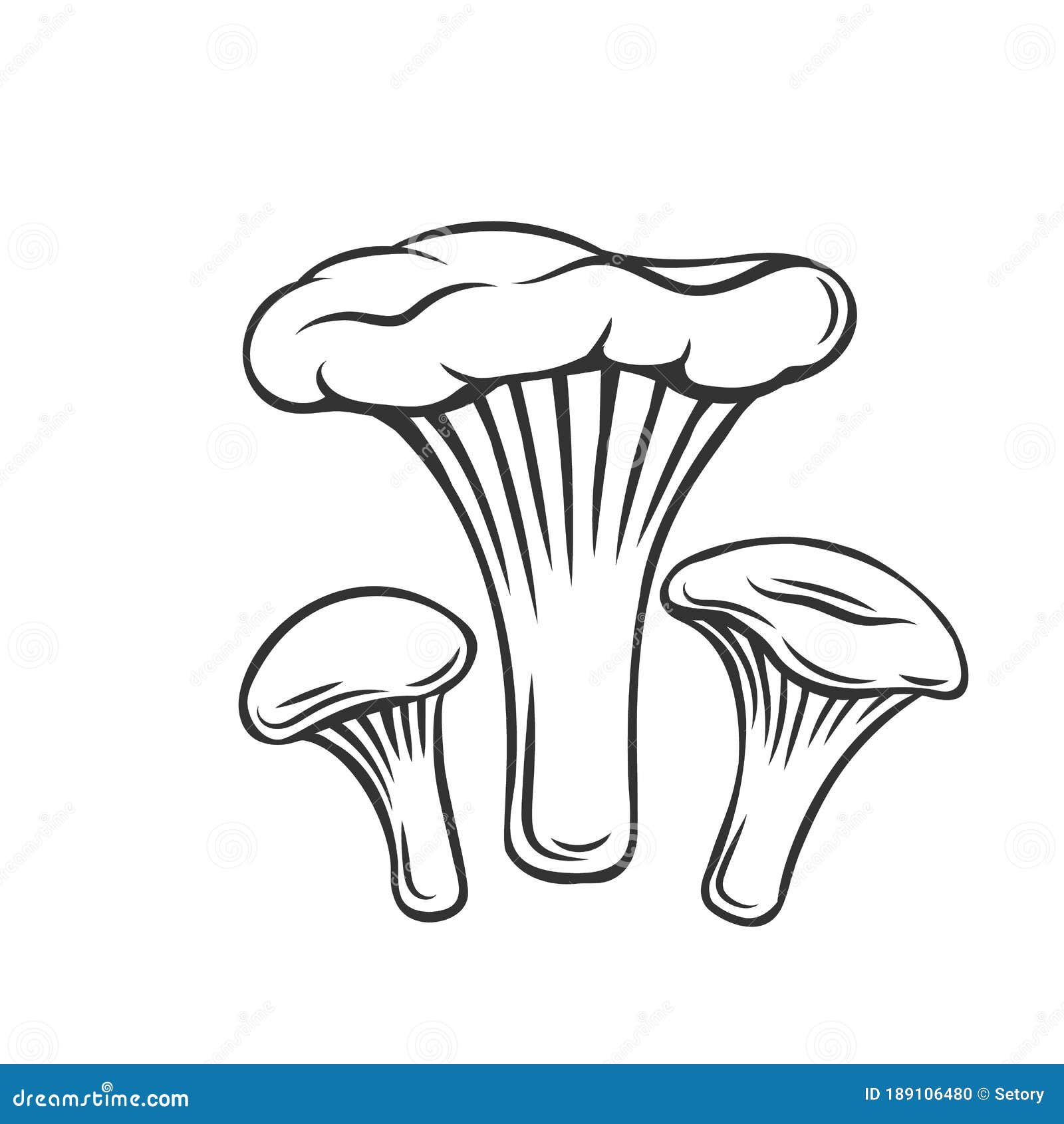 Edible Chanterelles Mushrooms Outline Icon Stock Vector - Illustration ...