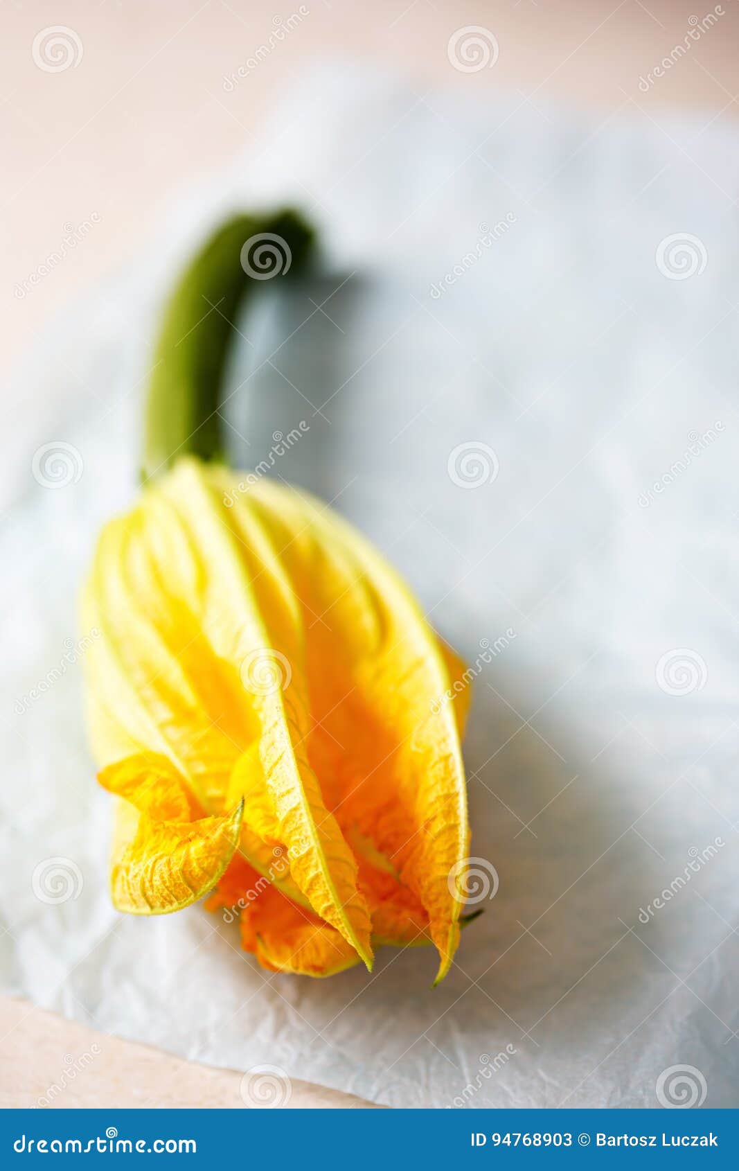 Edible courgette flowers stock image. Image of attached 94768903