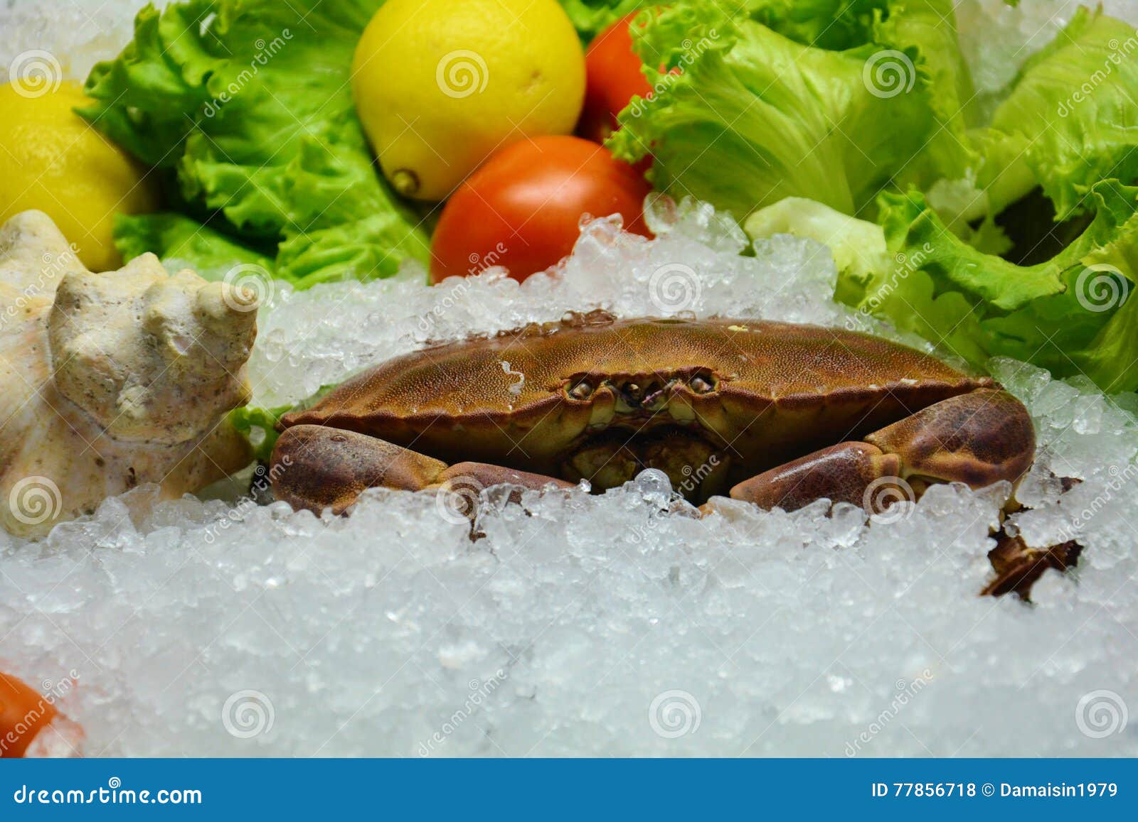Edible crab and vegetables stock photo. Image of luxury 77856718
