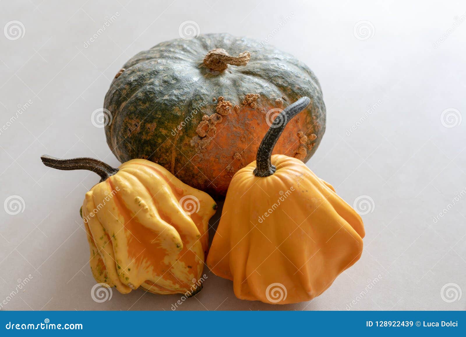Edible and Decorative Pumpkins Stock Image Image of yellow, textured