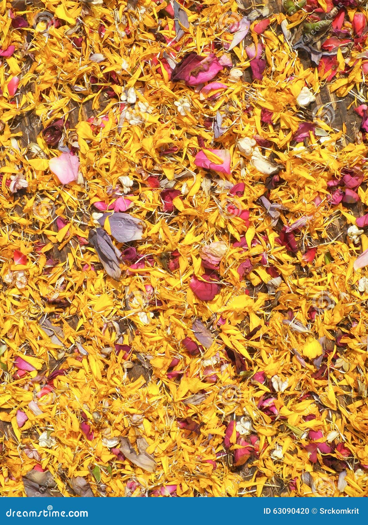 Edible dried flower petals stock photo. Image of fragrant 63090420