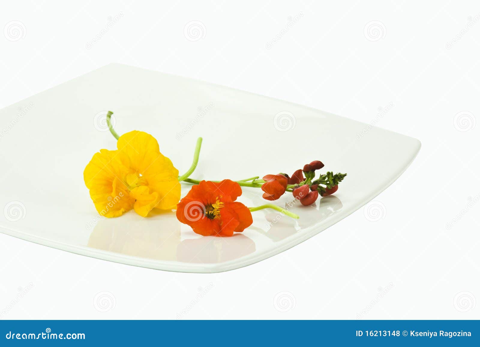 Edible flowers stock photo. Image of nasturtium, food 16213148