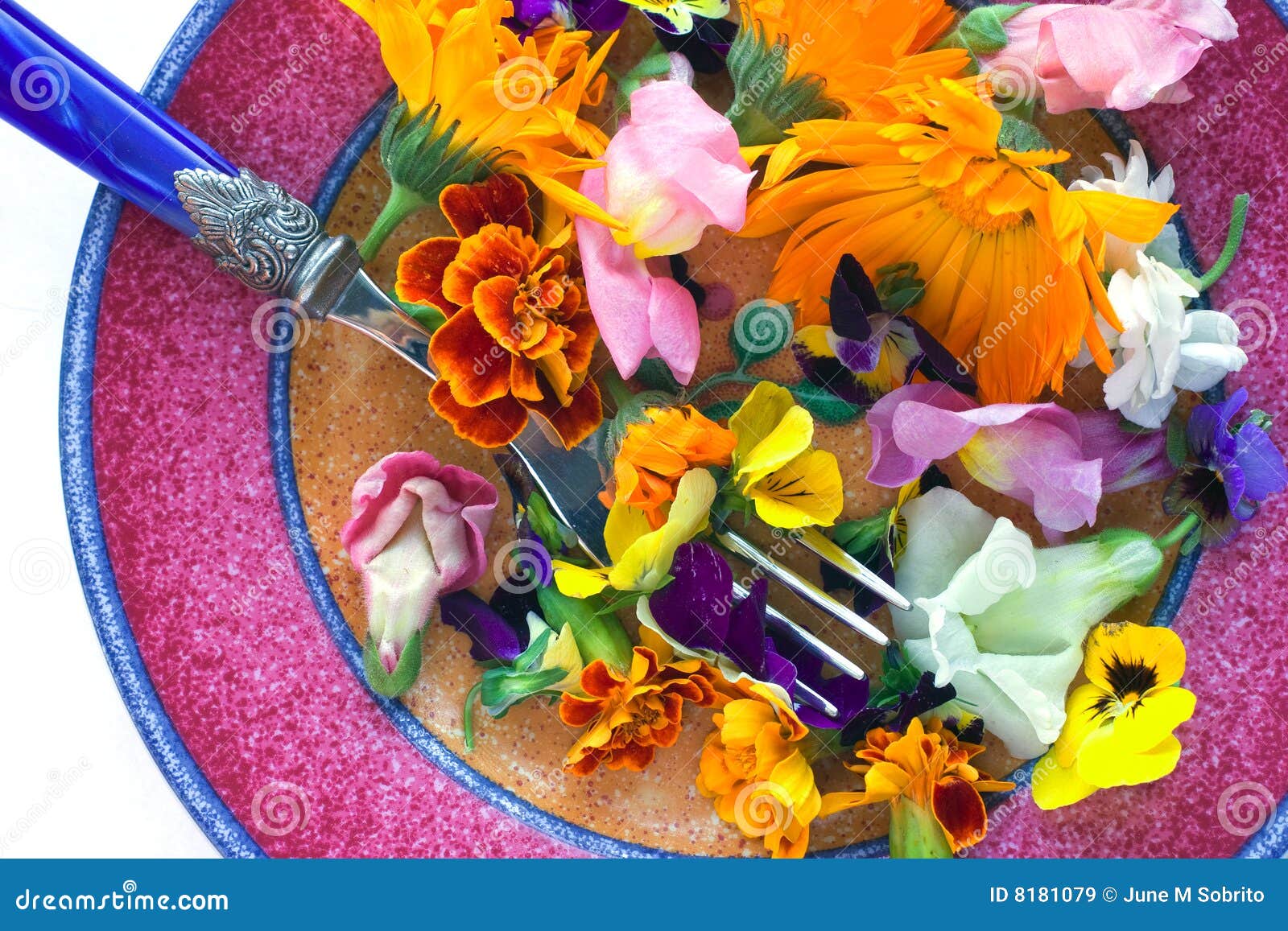 Edible Flowers stock image. Image of flowers, food, edible 8181079