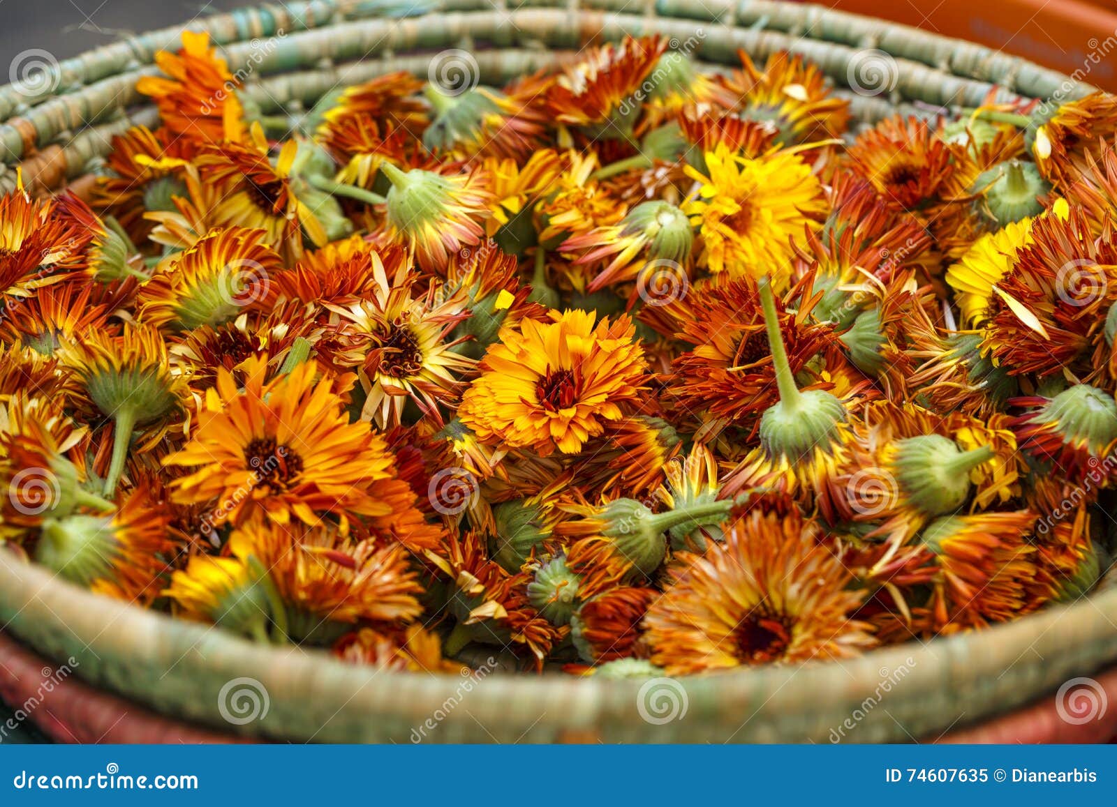 edible flowers