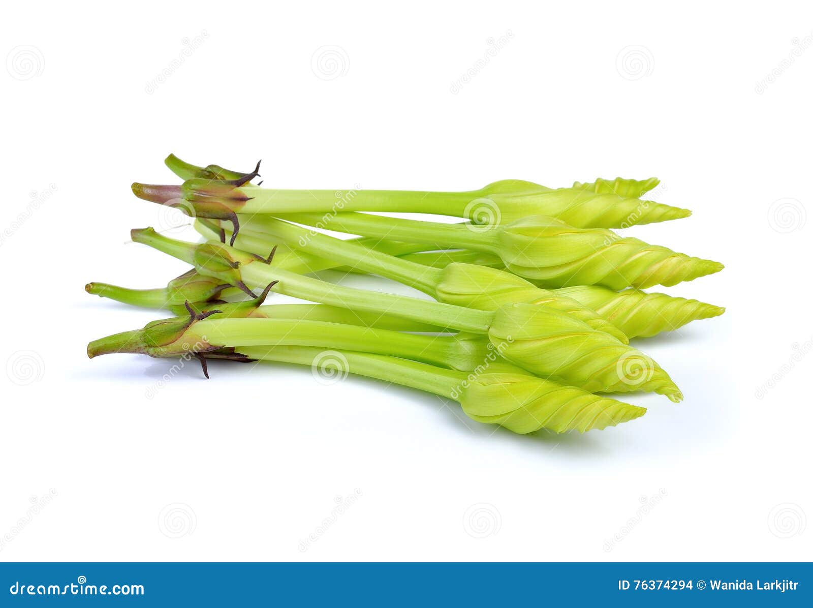 Edible Flowers,Moonflower on White Background Stock Photo Image of