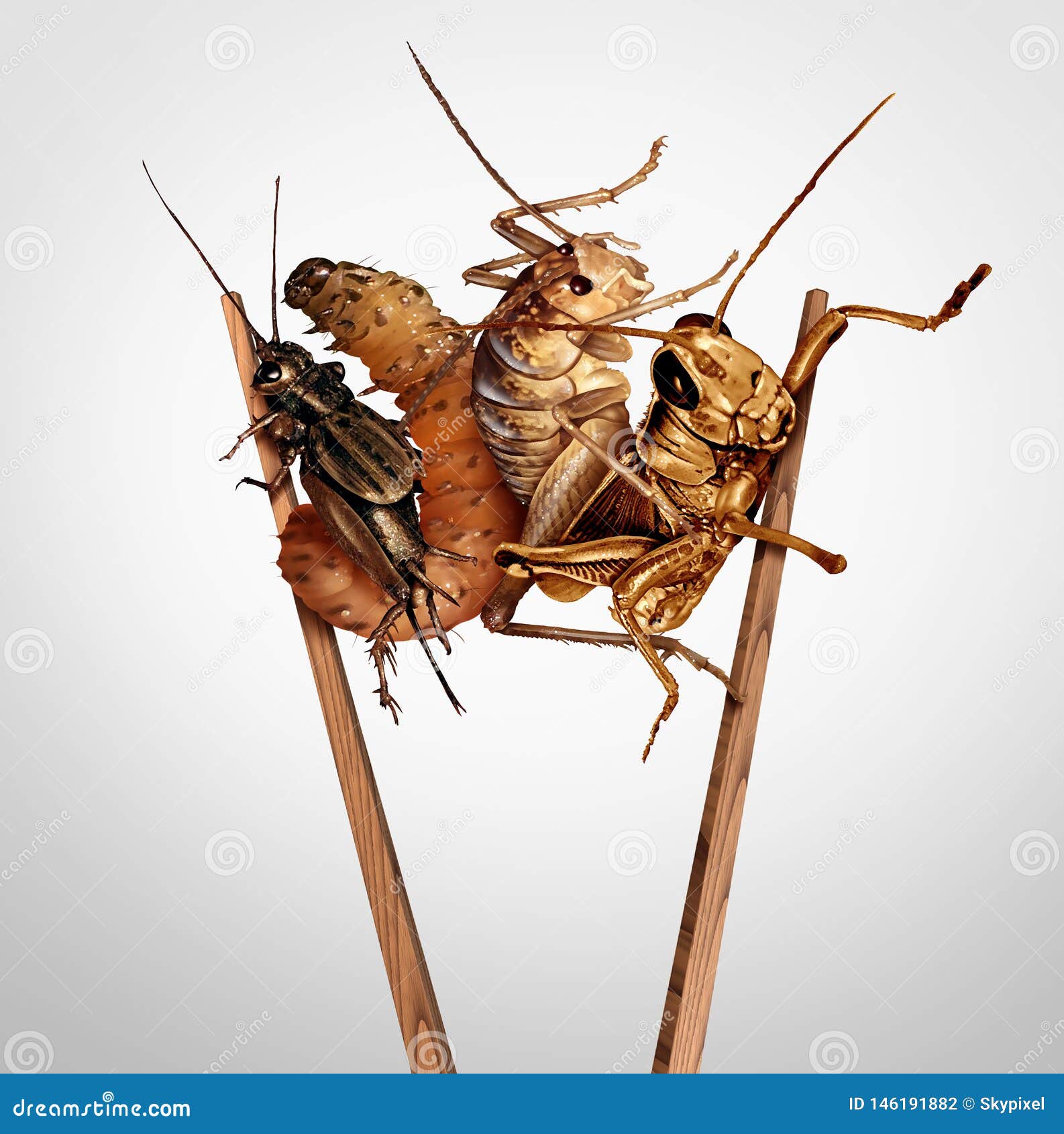 Edible Insects Stock Illustration Illustration Of Elements 146191882 good-bugs-vs-bad-bugs-guide-of-the-northeast-garden