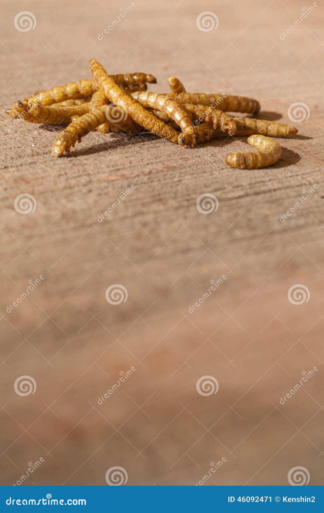 Edible mealworms stock image. Image of food, goji, larva 46092471