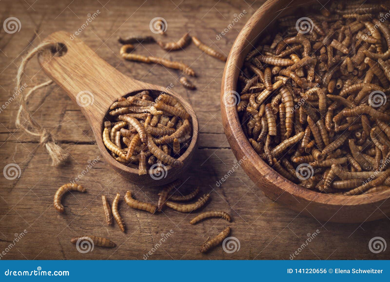 Edible mealworms stock photo. Image of brown, food, snack 141220656