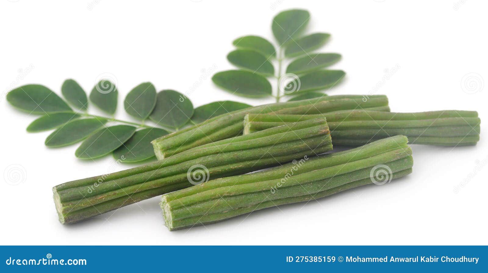 Edible Moringa with Fresh Leaves Stock Image Image of oleifera