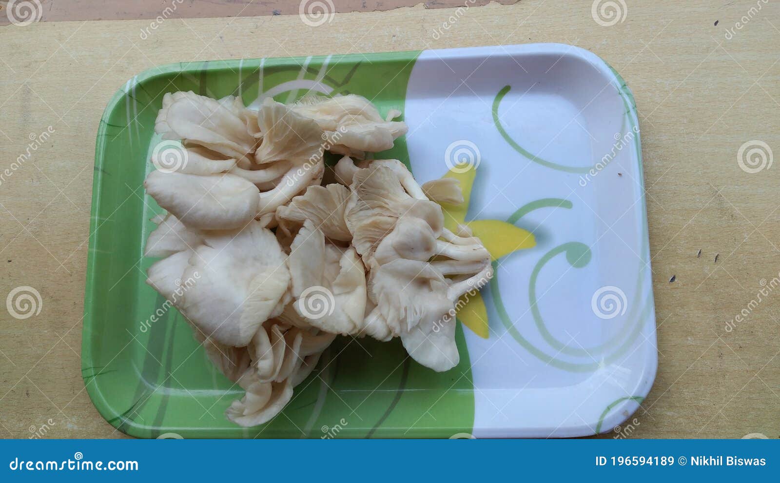 types of edible mushroom in india