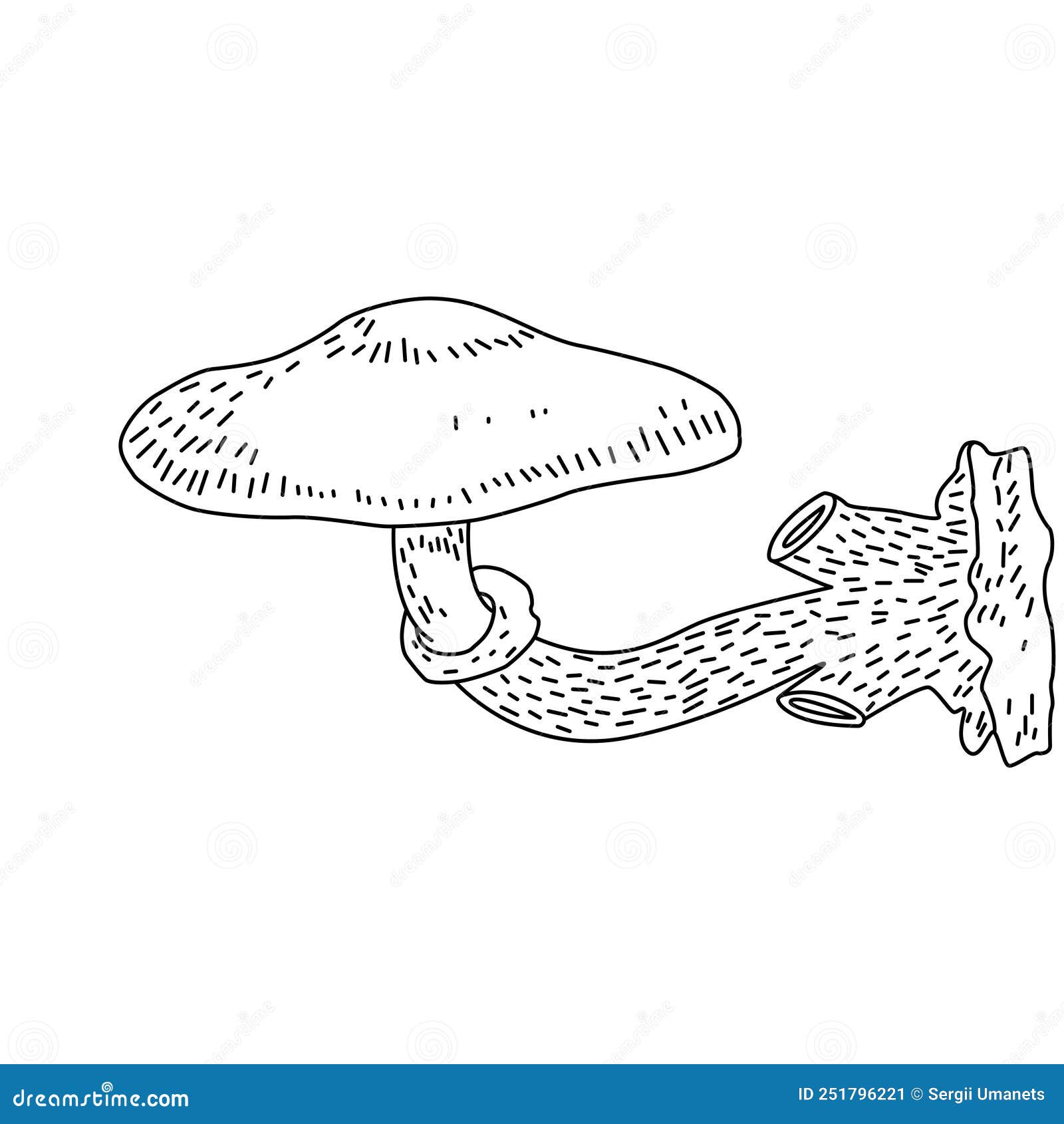 Mushroom Illustration Logo. Mushrooms Tattoo Highly Detailed Line Art ...