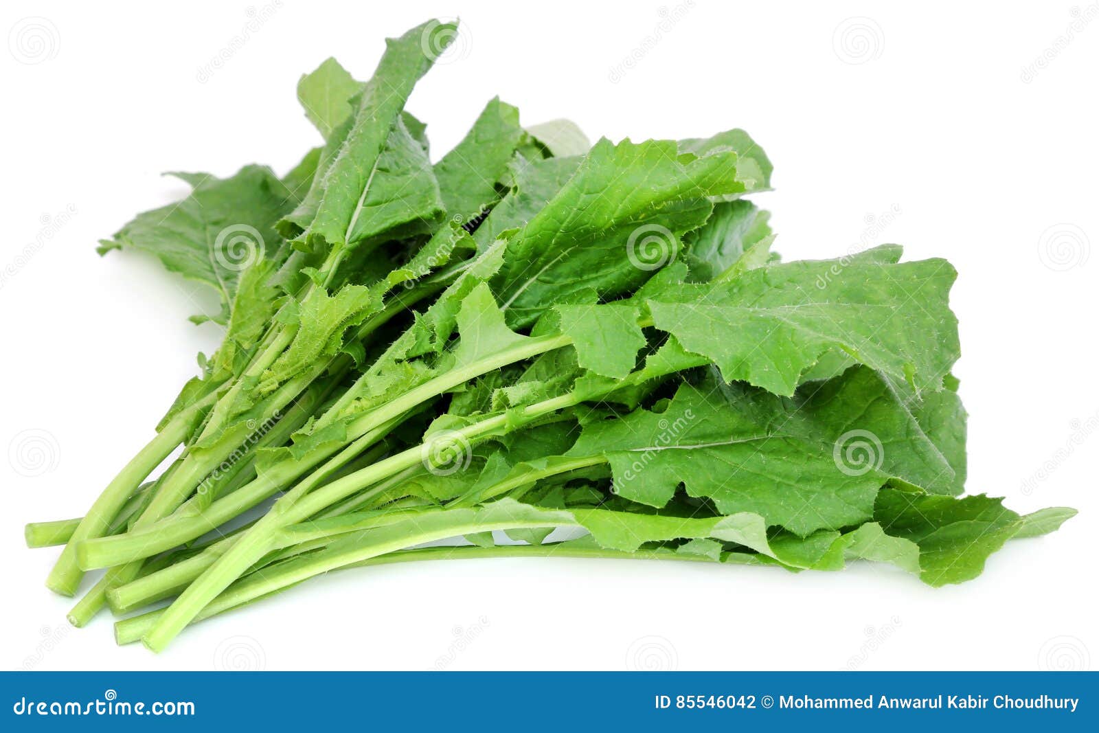 Edible mustard leaves stock photo. Image of condiment 85546042