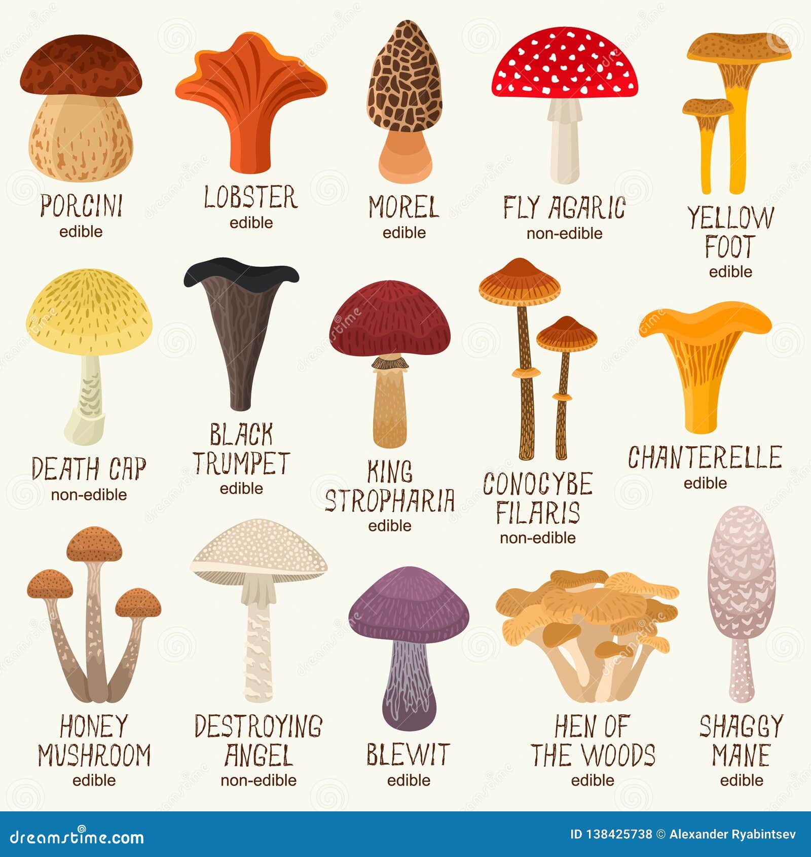 edible and non-edible mushrooms  set