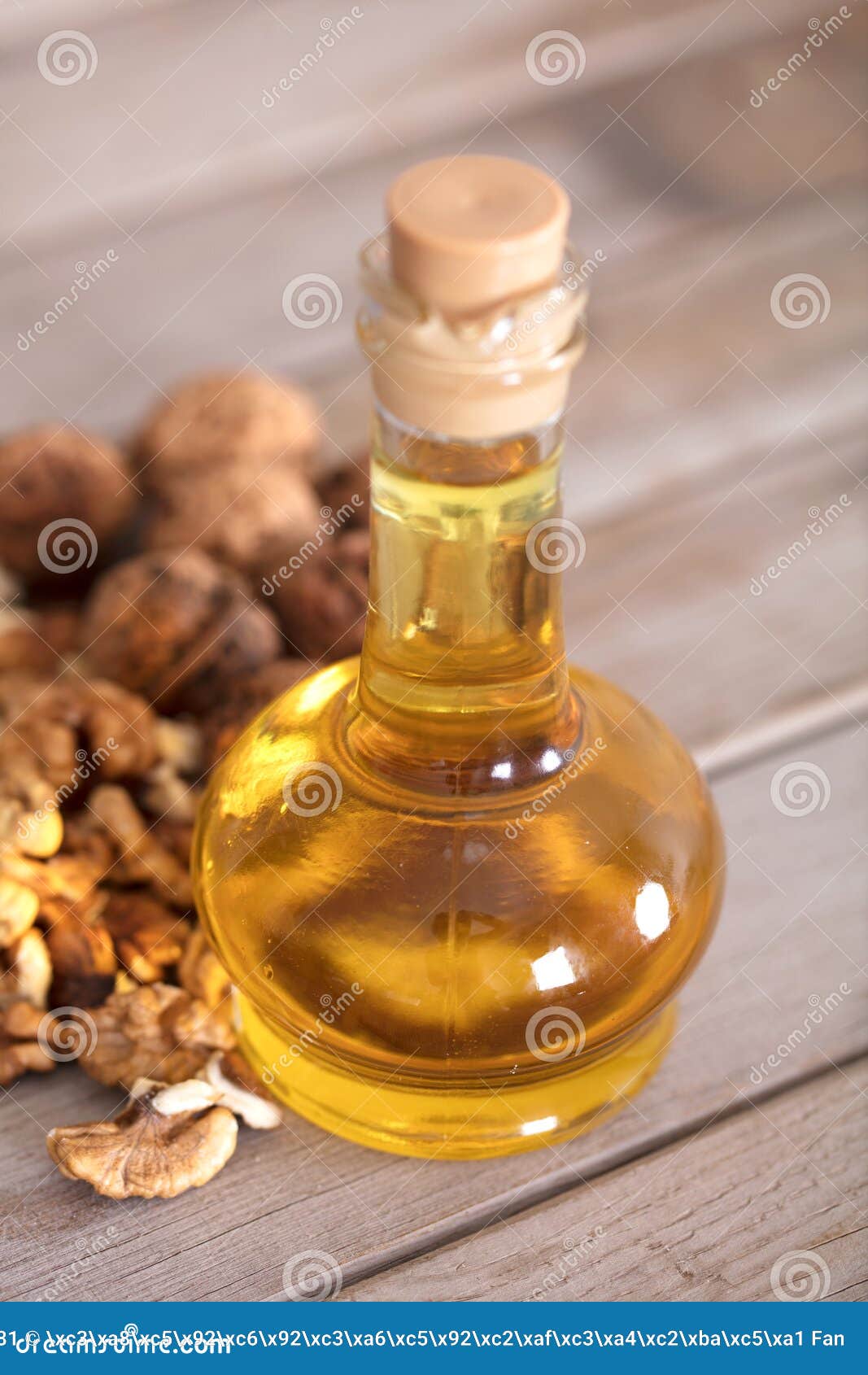 Edible Oil Extracted from Walnuts Stock Image Image of view, kernel
