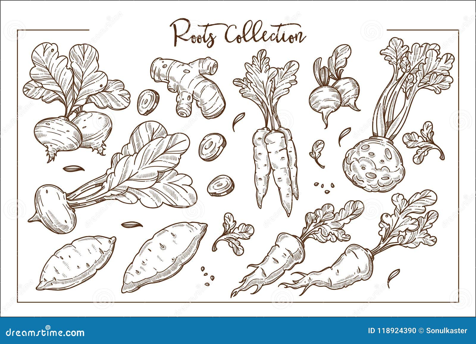 Edible Celery Stock Illustrations – 226 Edible Celery Stock Illustrations,  Vectors & Clipart - Dreamstime
