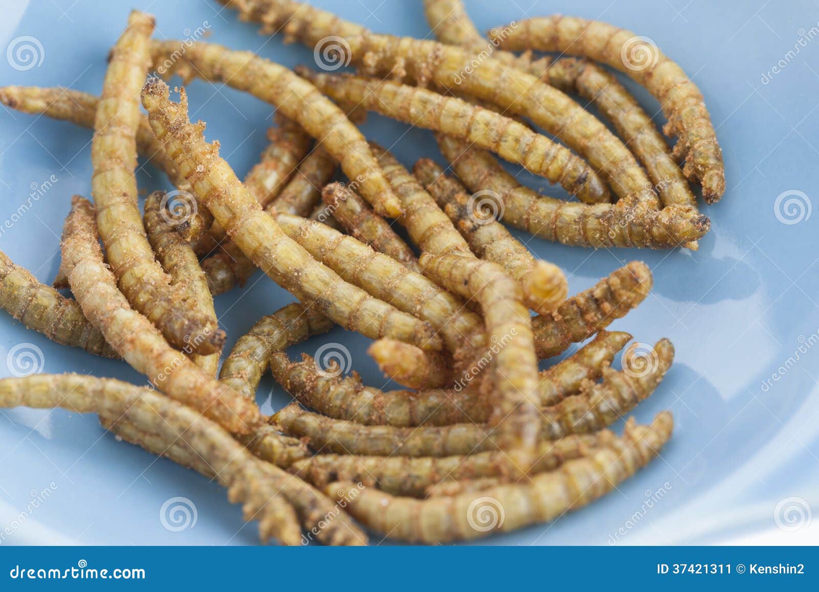 Edible roasted mealworms stock image. Image of meal, roasted 37421311