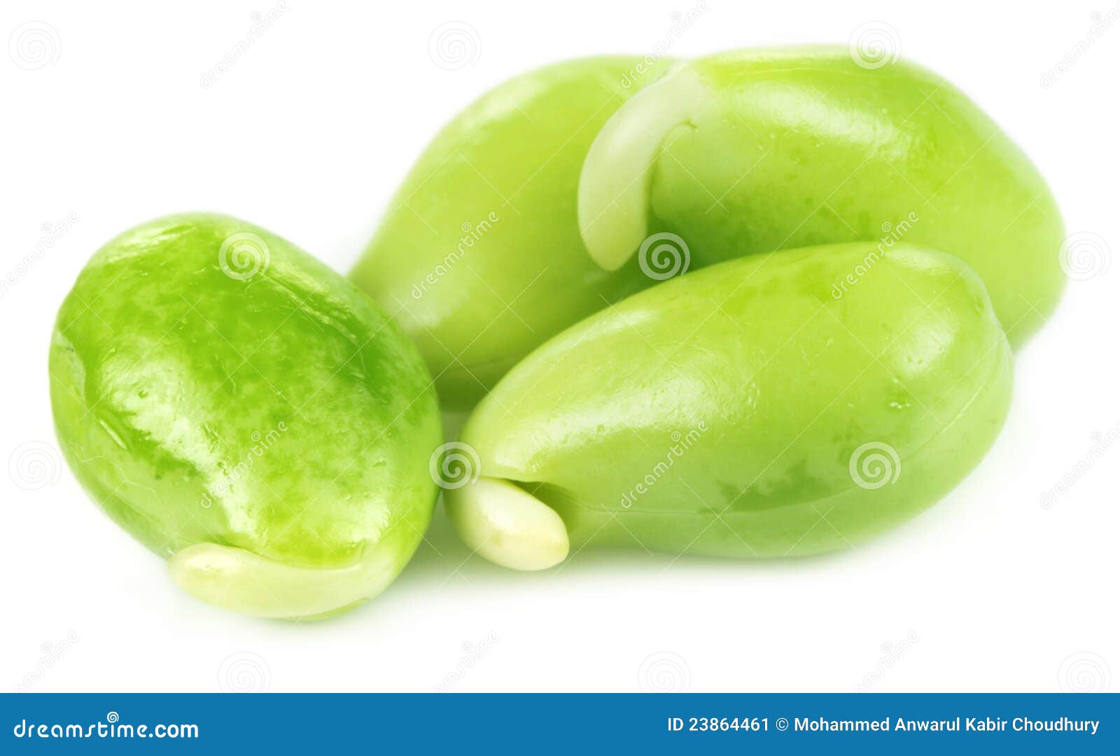 Edible Seeds of Hyacinth Bean or Indian Bean Stock Image Image of
