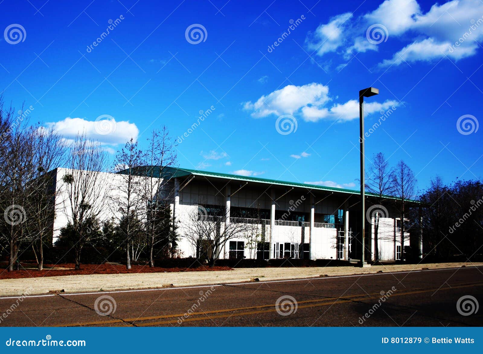 Edificio De Sanderson De La Universidad De Estado De Mississippi Imagen