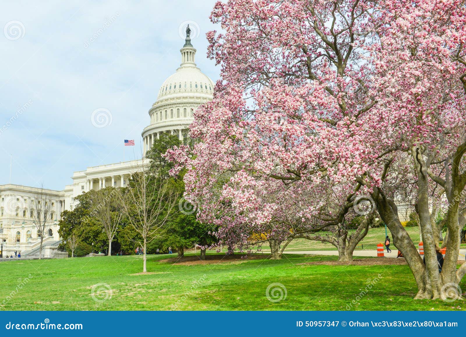 Edificio Del Capitolio De Los E.E.U.U. En La Primavera, Washington DC