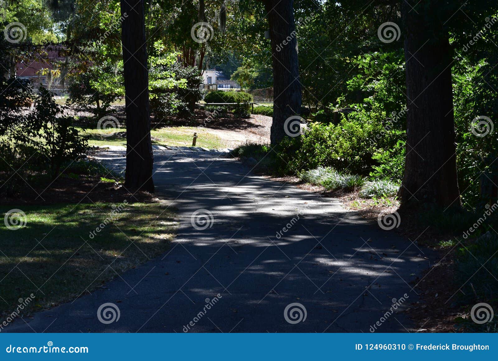 Edisto Gardens Memorial Park Editorial Image Image Of Carolinas