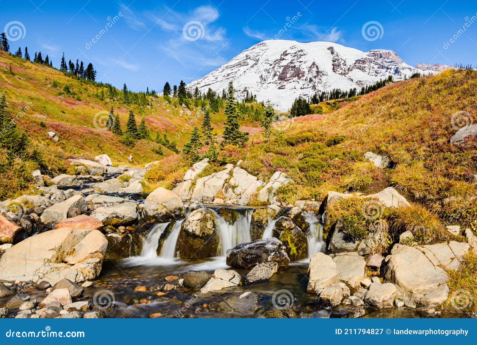 Edith Creek At Myrtle Falls At Mt Rainier Above Paradise RoyaltyFree