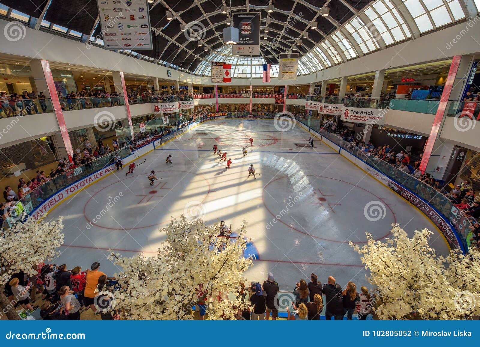 Ice Hockey Arena in the West Edmonton Mall Editorial Photography